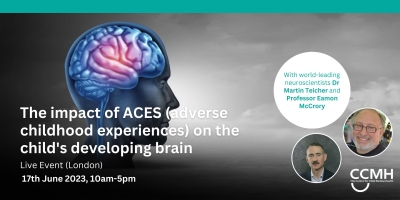 The impact of ACES on the child's developing brain with world-leading neuroscientists Dr Martin Teicher and Professor Eamon McCrory